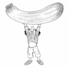 Comic fr den Biolino e. V. – 5 Junge stemmt Zucchini - gezeichnet von der Grafikdesignerin und Comic-Zeichnerin Marion Lux, Berlin